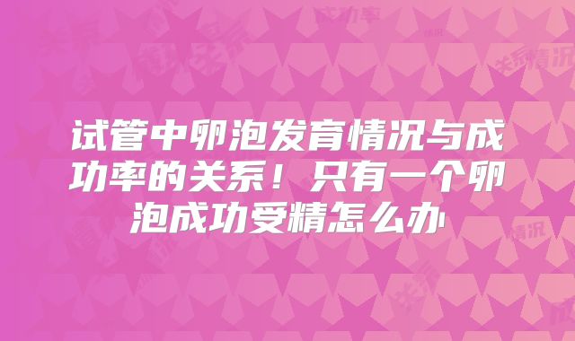 试管中卵泡发育情况与成功率的关系！只有一个卵泡成功受精怎么办