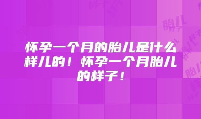 怀孕一个月的胎儿是什么样儿的!怀孕一个月胎儿的样子!