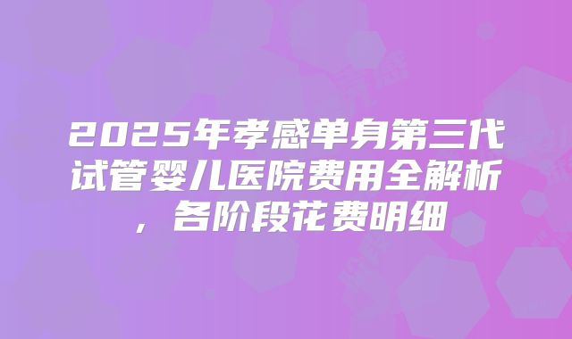2025年孝感单身第三代试管婴儿医院费用全解析，各阶段花费明细
