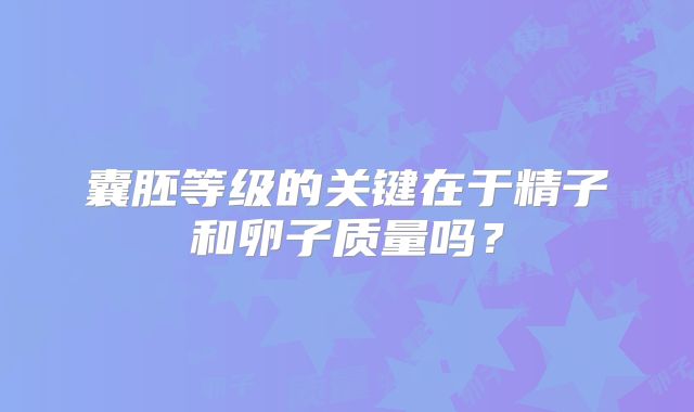 囊胚等级的关键在于精子和卵子质量吗？