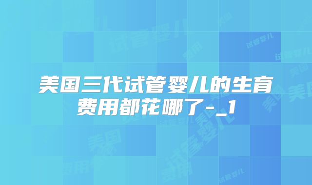 美国三代试管婴儿的生育费用都花哪了-_1