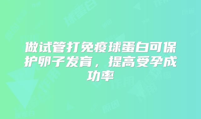 做试管打免疫球蛋白可保护卵子发育，提高受孕成功率