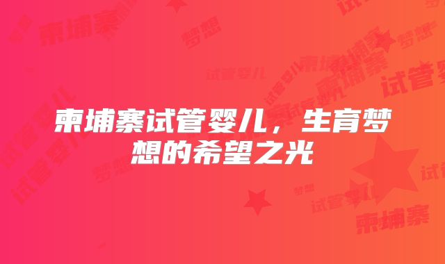 柬埔寨试管婴儿,生育梦想的希望之光
