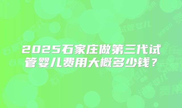 2025石家庄做第三代试管婴儿费用大概多少钱?