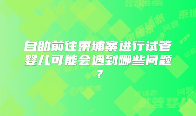 自助前往柬埔寨进行试管婴儿可能会遇到哪些问题?