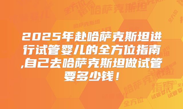 2025年赴哈萨克斯坦进行试管婴儿的全方位指南,自己去哈萨克斯坦做试管要多少钱！