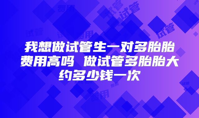 我想做试管生一对多胎胎费用高吗 做试管多胎胎大约多少钱一次