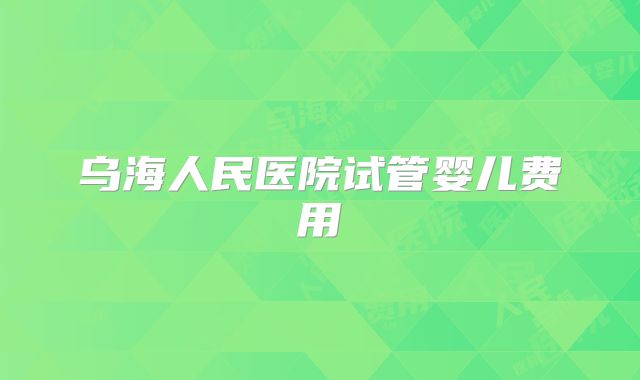 乌海人民医院试管婴儿费用