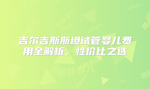 吉尔吉斯斯坦试管婴儿费用全解析，性价比之选