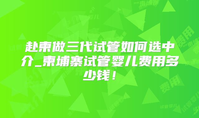 赴柬做三代试管如何选中介_柬埔寨试管婴儿费用多少钱!