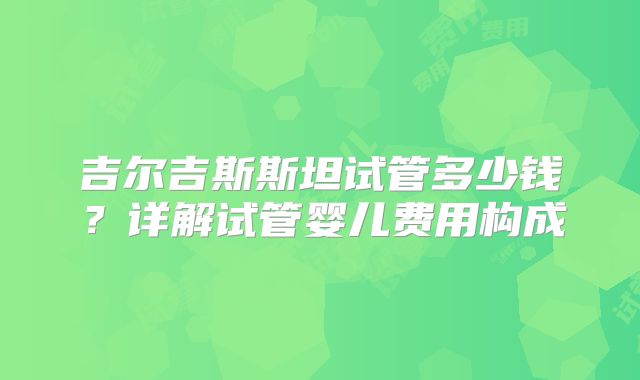 吉尔吉斯斯坦试管多少钱？详解试管婴儿费用构成