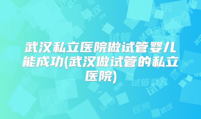武汉私立医院做试管婴儿能成功(武汉做试管的私立医院)