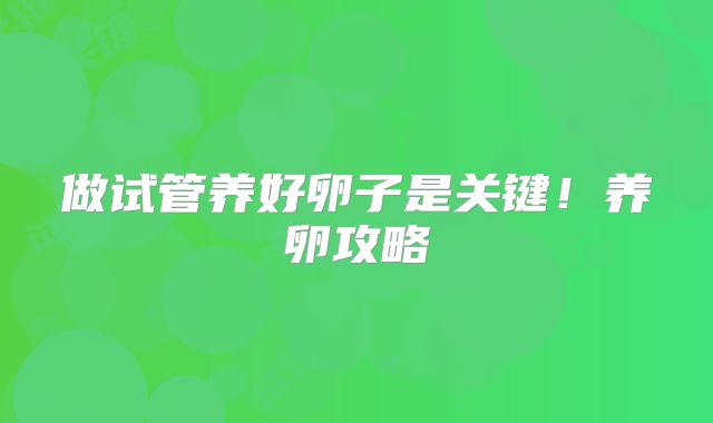 做试管养好卵子是关键！养卵攻略