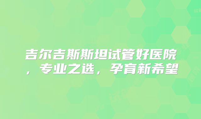 吉尔吉斯斯坦试管好医院,专业之选,孕育新希望