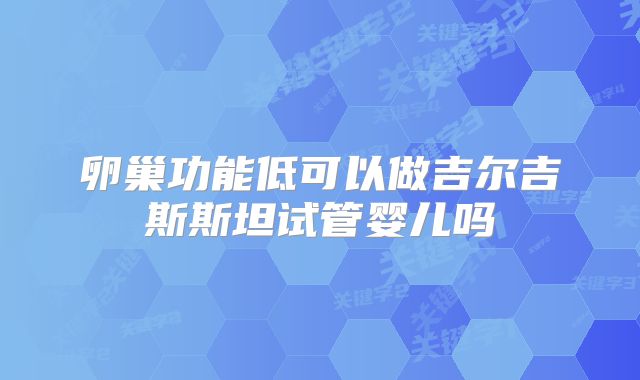 卵巢功能低可以做吉尔吉斯斯坦试管婴儿吗