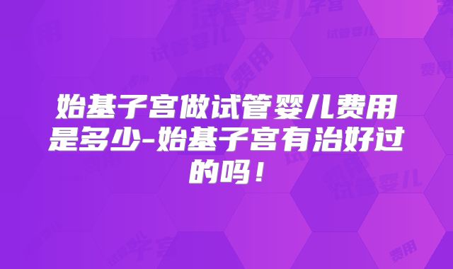 始基子宫做试管婴儿费用是多少-始基子宫有治好过的吗！