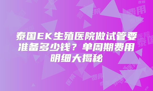 泰国EK生殖医院做试管要准备多少钱？单周期费用明细大揭秘