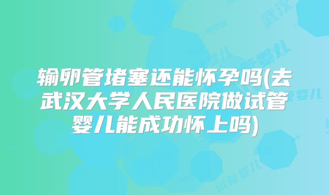 输卵管堵塞还能怀孕吗(去武汉大学人民医院做试管婴儿能成功怀上吗)