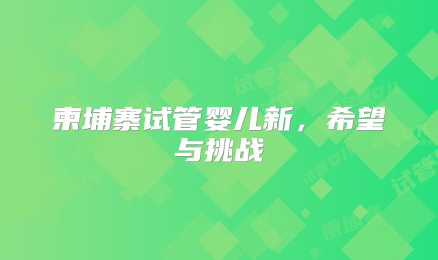 柬埔寨试管婴儿新，希望与挑战
