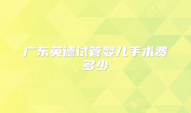 广东英德试管婴儿手术费多少