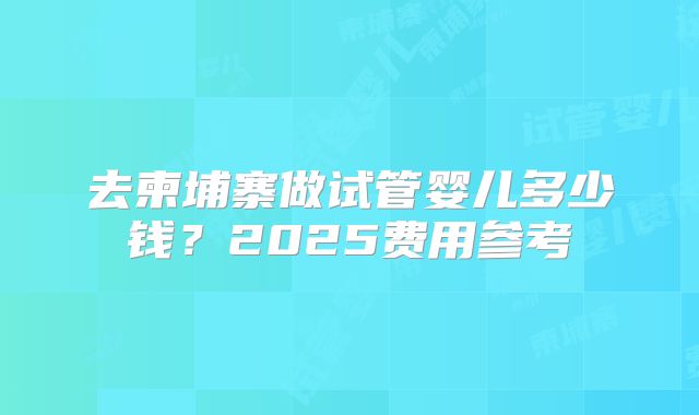 去柬埔寨做试管婴儿多少钱?2025费用参考