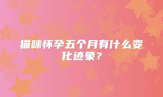 猫咪怀孕五个月有什么变化迹象？