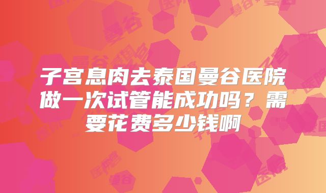 子宫息肉去泰国曼谷医院做一次试管能成功吗？需要花费多少钱啊