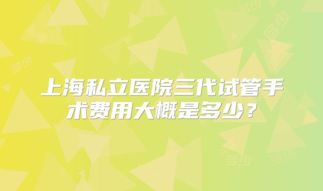上海私立医院三代试管手术费用大概是多少？