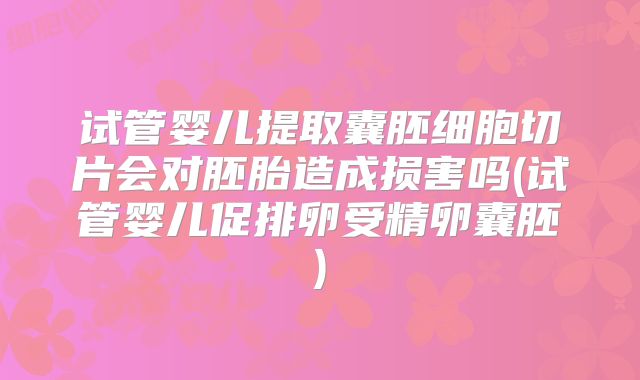 试管婴儿提取囊胚细胞切片会对胚胎造成损害吗(试管婴儿促排卵受精卵囊胚)