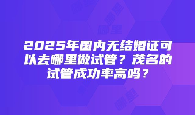 2025年国内无结婚证可以去哪里做试管？茂名的试管成功率高吗？