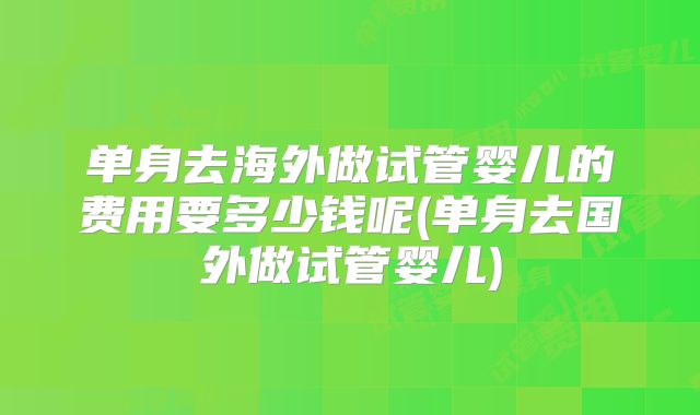 单身去海外做试管婴儿的费用要多少钱呢(单身去国外做试管婴儿)