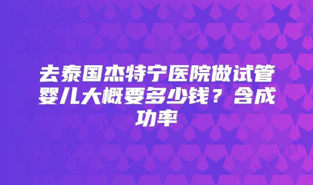 去泰国杰特宁医院做试管婴儿大概要多少钱？含成功率