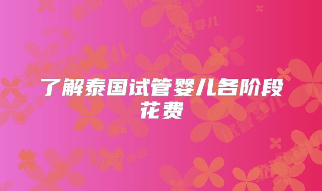 了解泰国试管婴儿各阶段花费