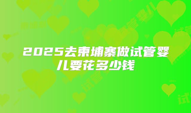 2025去柬埔寨做试管婴儿要花多少钱