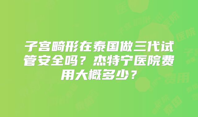 子宫畸形在泰国做三代试管安全吗?杰特宁医院费用大概多少?