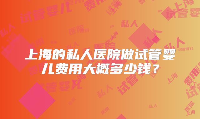 上海的私人医院做试管婴儿费用大概多少钱？