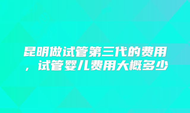 昆明做试管第三代的费用,试管婴儿费用大概多少