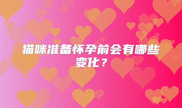 猫咪准备怀孕前会有哪些变化?