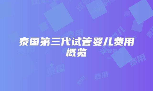 泰国第三代试管婴儿费用概览
