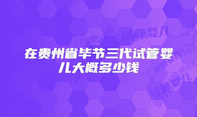 在贵州省毕节三代试管婴儿大概多少钱
