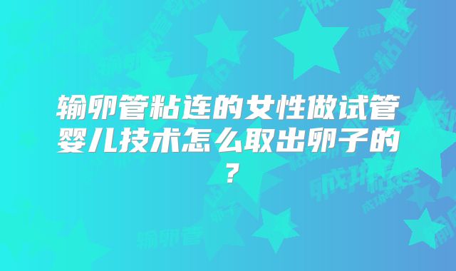 输卵管粘连的女性做试管婴儿技术怎么取出卵子的？