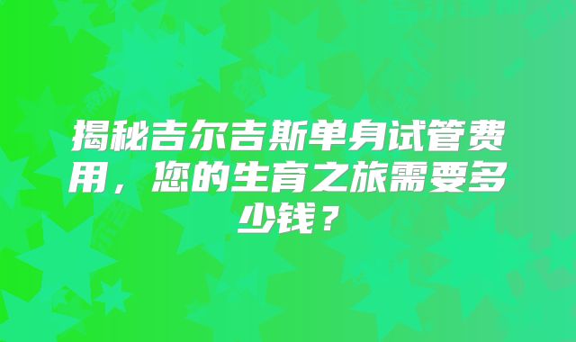 揭秘吉尔吉斯单身试管费用，您的生育之旅需要多少钱？