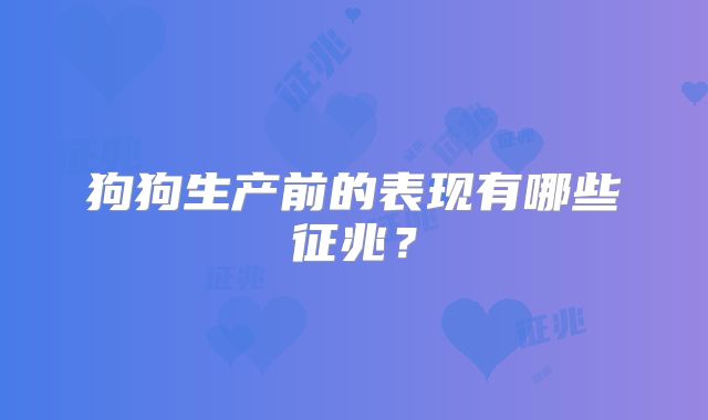 狗狗生产前的表现有哪些征兆？
