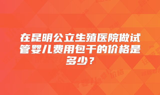 在昆明公立生殖医院做试管婴儿费用包干的价格是多少？