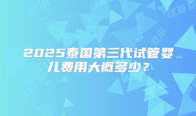 2025泰国第三代试管婴儿费用大概多少?