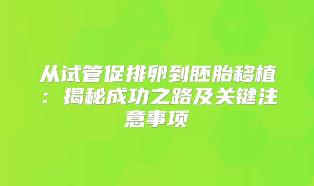 从试管促排卵到胚胎移植：揭秘成功之路及关键注意事项