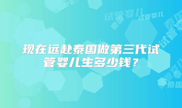 现在远赴泰国做第三代试管婴儿生多少钱？