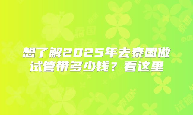 想了解2025年去泰国做试管带多少钱？看这里