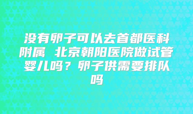没有卵子可以去首都医科附属 北京朝阳医院做试管婴儿吗？卵子供需要排队吗