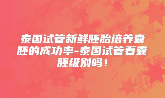 泰国试管新鲜胚胎培养囊胚的成功率-泰国试管看囊胚级别吗！